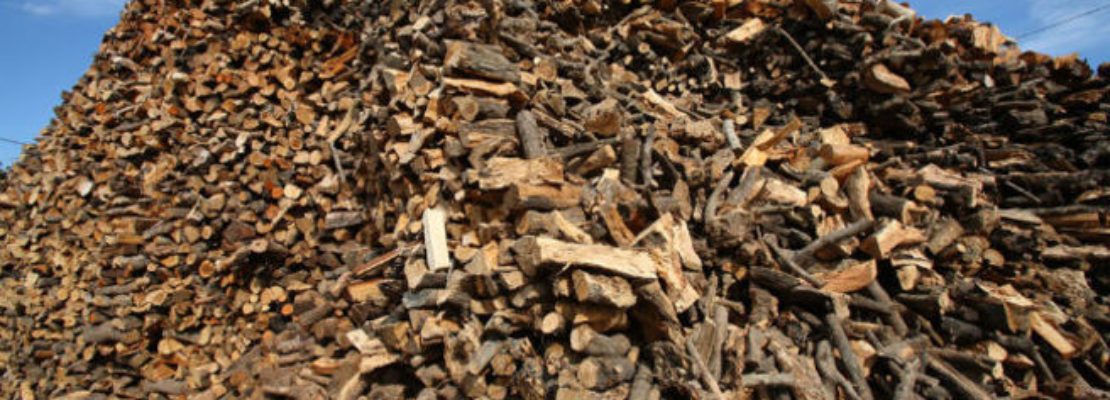 Νέα μέθοδος, με ελληνική συμμετοχή, μετατρέπει τα ξύλα σε βιοκαύσιμα και χημικά