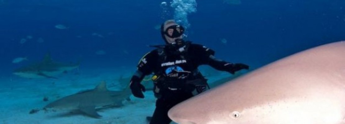 Οι καρχαρίες που κάνουν… Tweets