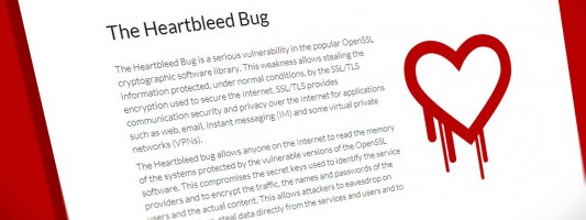 Heartbleed bug: Πανικός στο διαδίκτυο! “Μαύρη τρύπα” στο internet