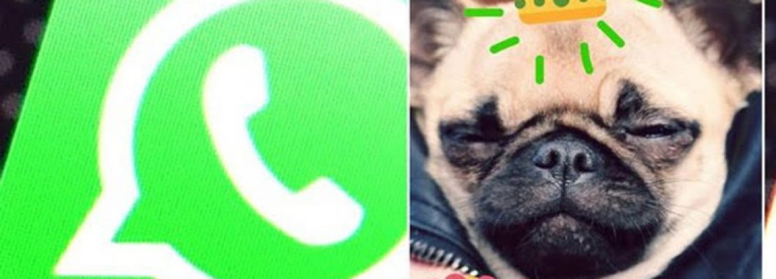 Η νέα ρύθμιση τύπου Snapchat στο WhatsApp