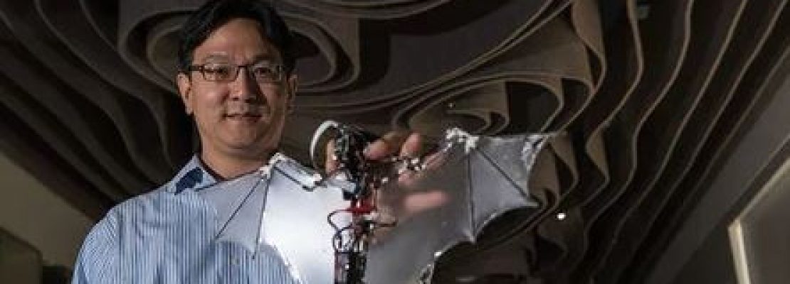 Ερευνητές δημιούργησαν το πρώτο ρομπότ-νυχτερίδα! (Βίντεο)