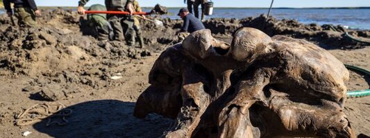 Τα λείψανα ενός μαλλιαρού μαμούθ ηλικίας 10.000 ετών εντοπίστηκαν σε λίμνη στη Σιβηρία