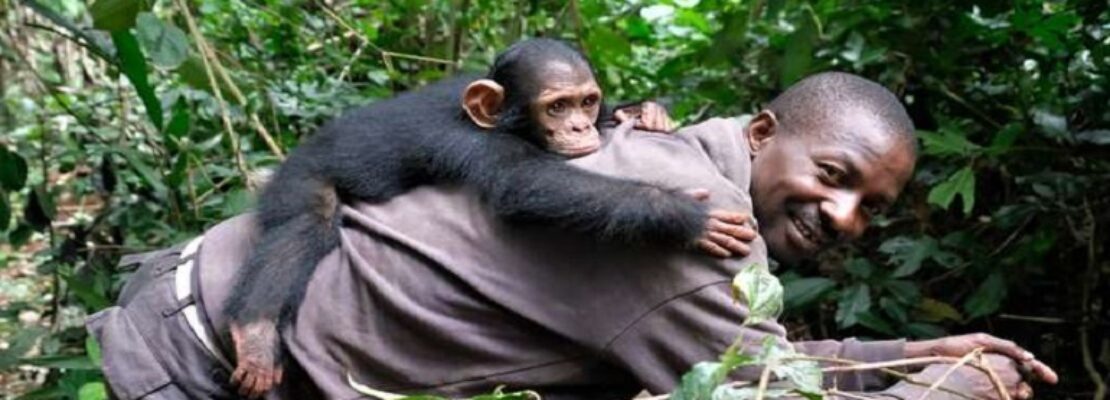 Μοιάζουμε με τους χιμπατζήδες περισσότερο από όσο νομίζουμε: Χάνουμε φίλους όσο μεγαλώνουμε