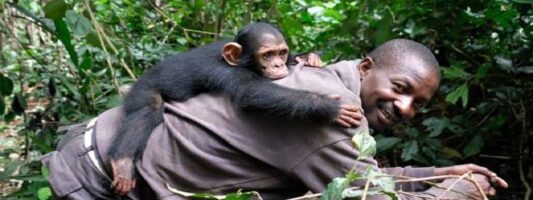 Μοιάζουμε με τους χιμπατζήδες περισσότερο από όσο νομίζουμε: Χάνουμε φίλους όσο μεγαλώνουμε