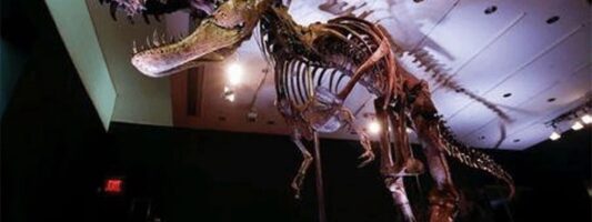 Στα 2,5 δισεκατομμύρια εκτιμάται ο αριθμός των Τυραννόσαυρων που έζησαν στη Γη