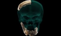 Nesher Ramla: Ένας άγνωστος έως τώρα Homo ανακαλύφθηκε στο Ισραήλ