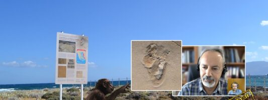 Ο αρχαιότερος πρόγονoς του ανθρώπου περπάτησε στην Κρήτη