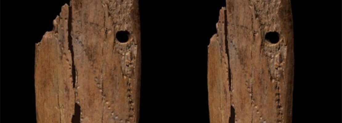 Ανακαλύφθηκε το αρχαιότερο στην Ευρώπη κρεμαστό στολίδι, από κόκαλο μαμούθ