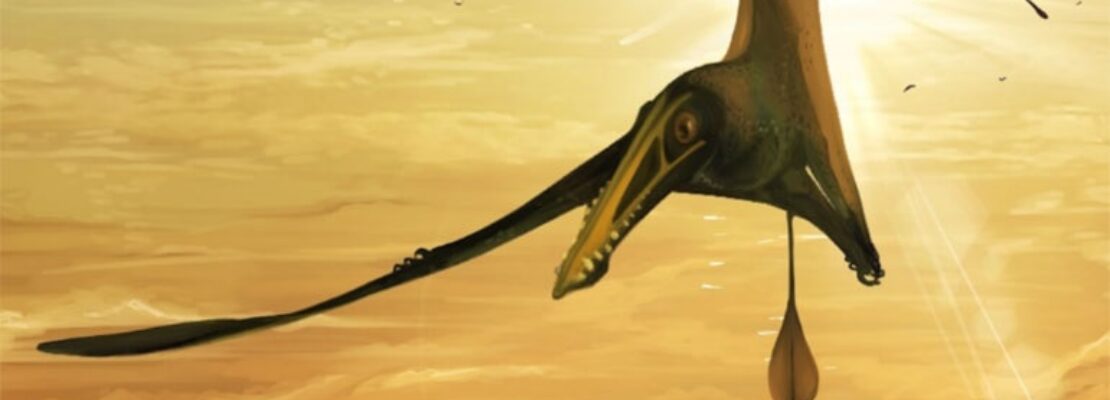 Βρέθηκε απολίθωμα πτερόσαυρου σε νησί της Σκωτίας ηλικίας 170 εκατ. ετών