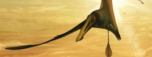 Βρέθηκε απολίθωμα πτερόσαυρου σε νησί της Σκωτίας ηλικίας 170 εκατ. ετών
