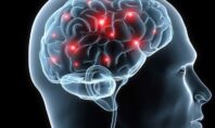Επιστήμονες ανακάλυψαν πιθανό φάρμακο κατά της γύρανσης του εγκεφάλου