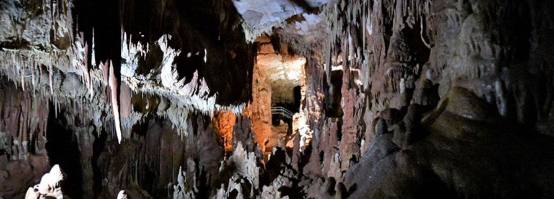 «Ο Αρχάνθρωπος των Πετραλώνων»: Ανοίγει εκ νέου το σπήλαιο και «λύνεται» το μυστήριο