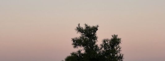 «Φεγγάρι του Λύκου»: Η πρώτη Πανσέληνος του 2023 – Από πού πήρε το όνομά της