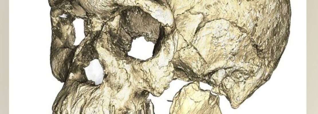 Ν. Αφρική: Παλαιοντολόγος υποστηρίζει ότι ανακάλυψε ταφές παλαιότερες κατά τουλάχιστον 100.000 έτη