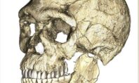 Ν. Αφρική: Παλαιοντολόγος υποστηρίζει ότι ανακάλυψε ταφές παλαιότερες κατά τουλάχιστον 100.000 έτη