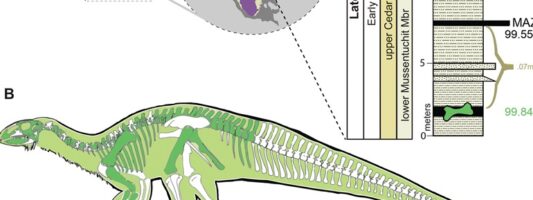 Επιστήμη: Νέο είδος δεινόσαυρου στη Γιούτα ρίχνει φως σε μία περίοδο μεγάλων περιβαλλοντικών αλλαγών