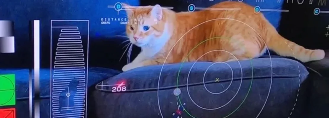 Η NASA δοκίμασε επικοινωνίες με λέιζερ μεταδίδοντας από το Διάστημα ένα βίντεο με μια γάτα