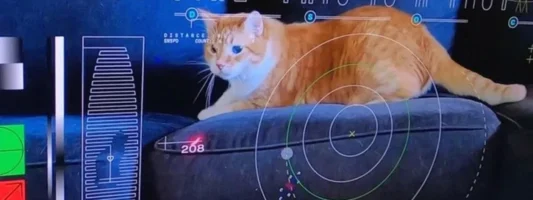 Η NASA δοκίμασε επικοινωνίες με λέιζερ μεταδίδοντας από το Διάστημα ένα βίντεο με μια γάτα